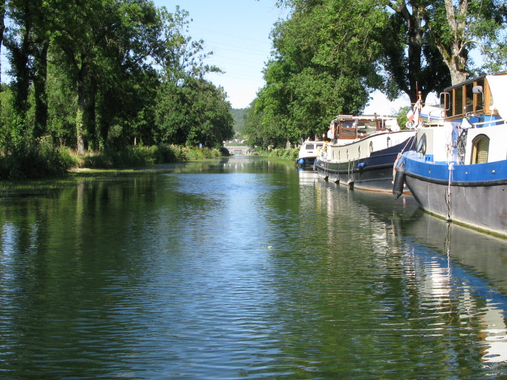 Beautiful nature River Marne