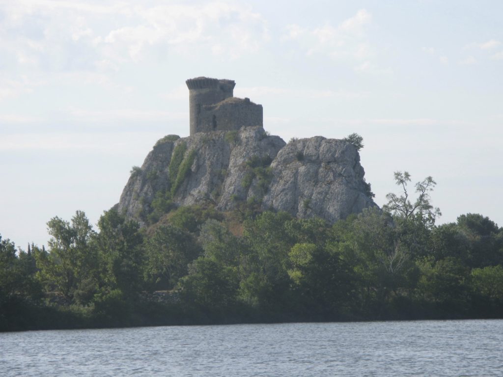 Rhone coast nature Avignon