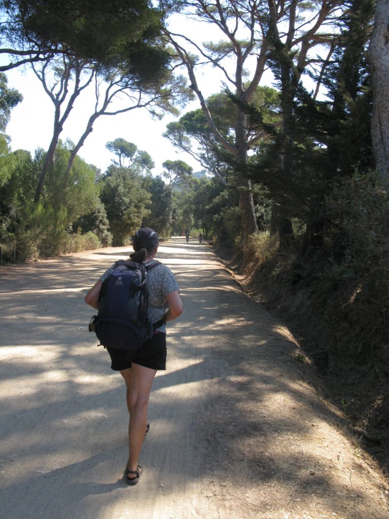 Plage Notre Dame walking pines