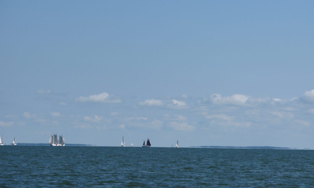 Enkhuizen – is a sailors mecca. Boats, boats and boats