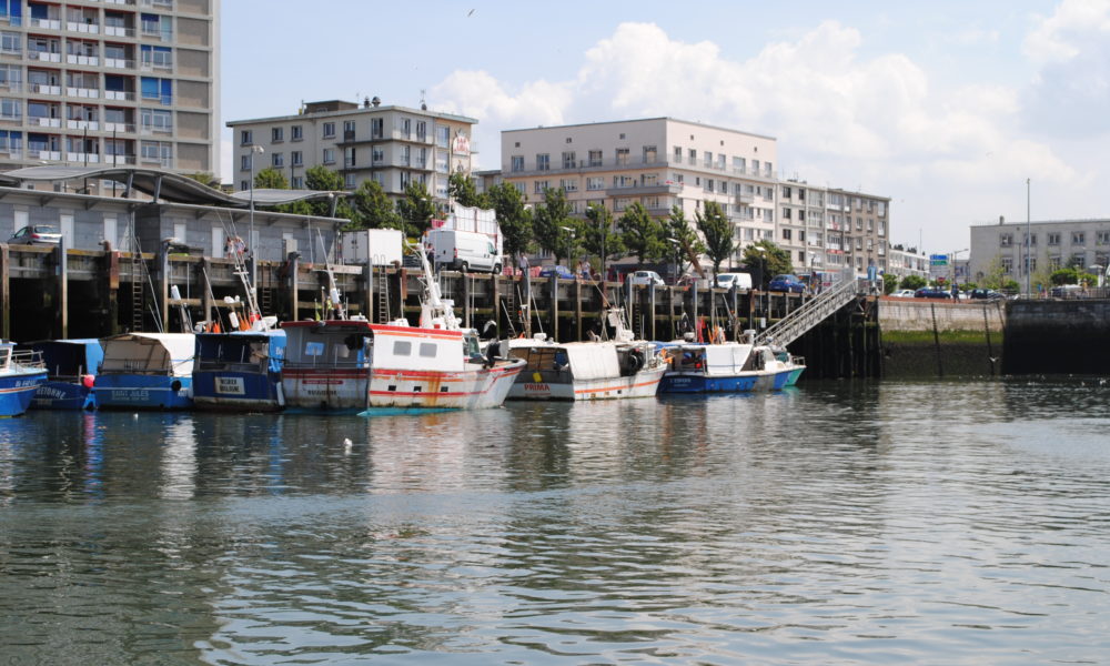 Larm og uro. Fiskestank og mågeskrig. Vi er i Boulogne-sur-Mer